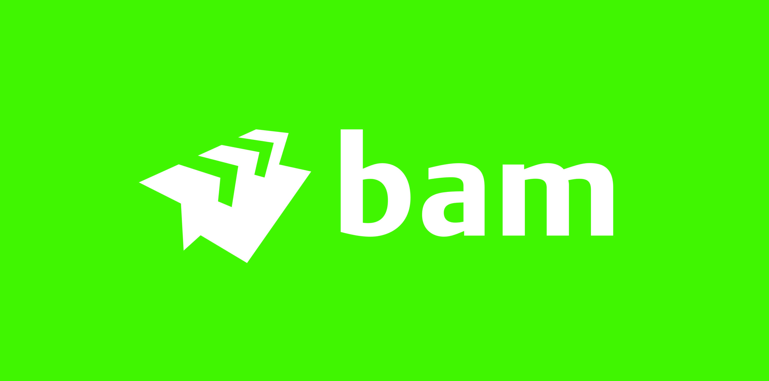 BAM